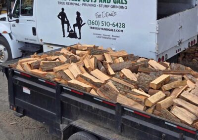 firewood