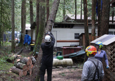 Tree removal service in Bellingham, WA with arborists safely cutting a leaning tree near a home