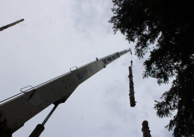 crane lifting cut portion of tree