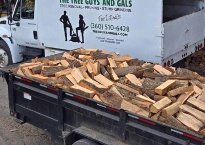 firewood cut and organized