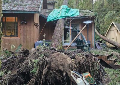 roof damage from storm fallen tree removal