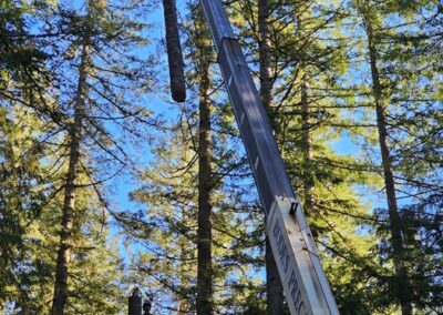 tree-removal-equipment