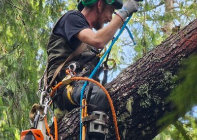 tree guy sitting on fallen cedar tree