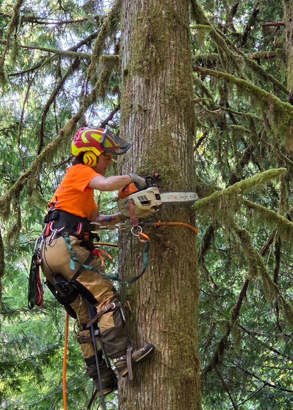 Happy worker Haley tree cutting
